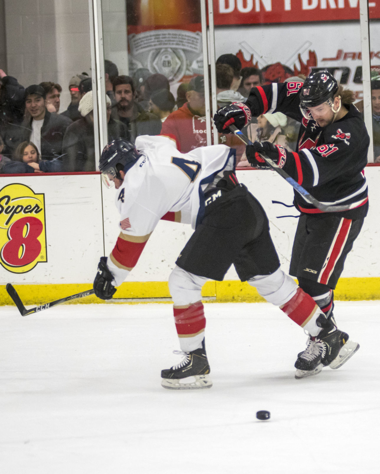 Moose hockey vs. Colorado Nailers